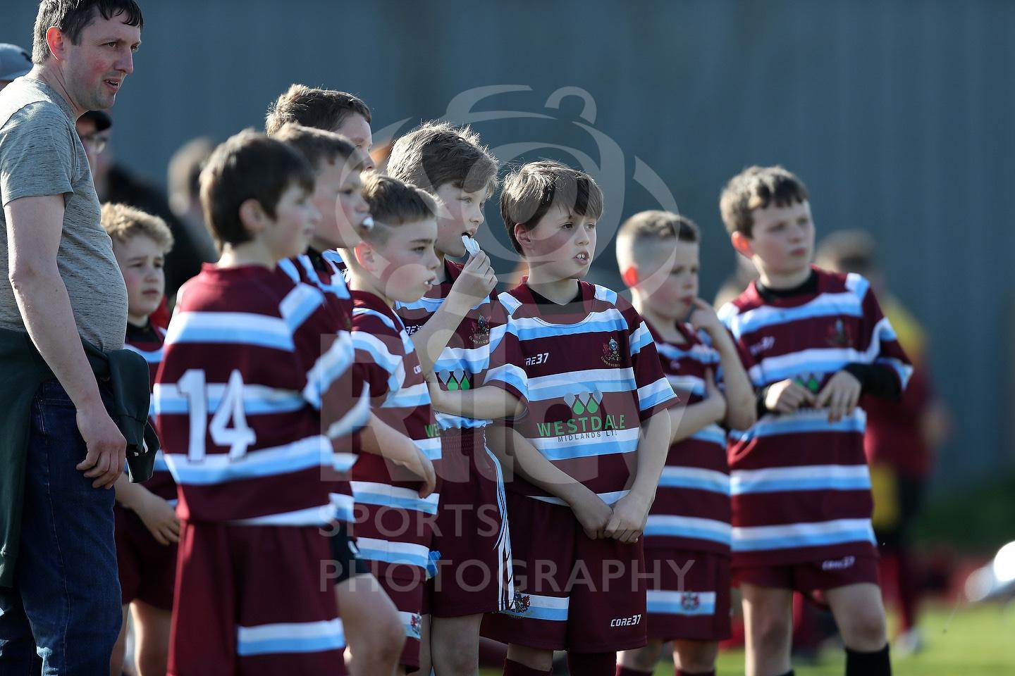 Scarlets v Clermont Tag & Festival 7th April 2023