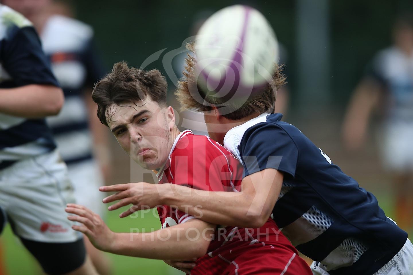 Scarlets v Netherlands U17 22nd August 2023