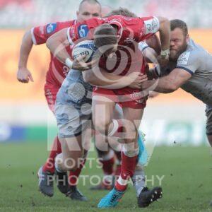 04.04.21 Scarlets v Sale EPCR Champions Cup 2020-21