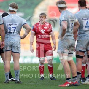04.04.21 Scarlets v Sale EPCR Champions Cup 2020-21