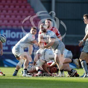 04.04.21 Scarlets v Sale EPCR Champions Cup 2020-21