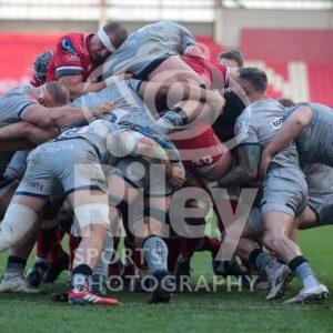 04.04.21 Scarlets v Sale EPCR Champions Cup 2020-21