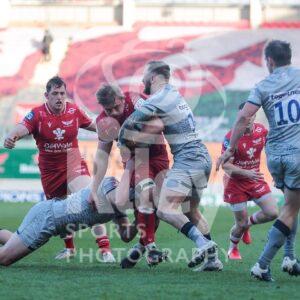 04.04.21 Scarlets v Sale EPCR Champions Cup 2020-21
