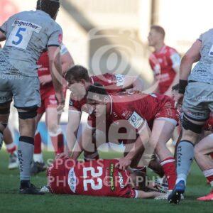 04.04.21 Scarlets v Sale EPCR Champions Cup 2020-21