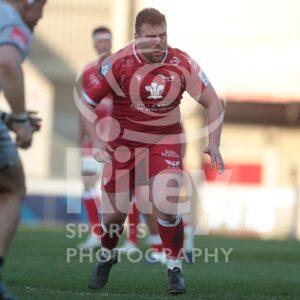 04.04.21 Scarlets v Sale EPCR Champions Cup 2020-21