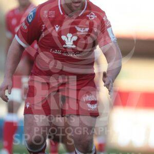 04.04.21 Scarlets v Sale EPCR Champions Cup 2020-21