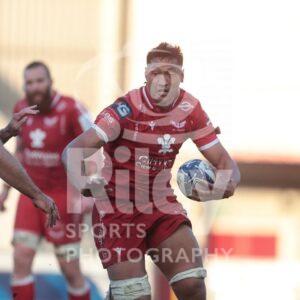04.04.21 Scarlets v Sale EPCR Champions Cup 2020-21
