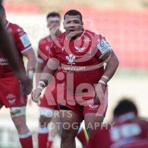 04.04.21 Scarlets v Sale EPCR Champions Cup 2020-21
