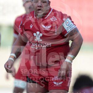04.04.21 Scarlets v Sale EPCR Champions Cup 2020-21