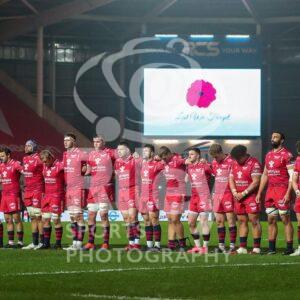 Guinness PRO14 2020-21
08.11.20 Scarlets v Zebre