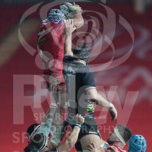 Guinness PRO14 2020-21
08.11.20 Scarlets v Zebre