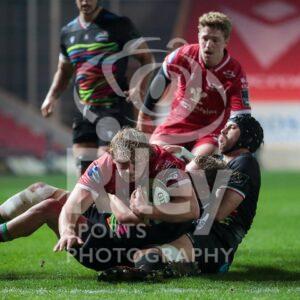 Guinness PRO14 2020-21
08.11.20 Scarlets v Zebre