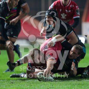 Guinness PRO14 2020-21
08.11.20 Scarlets v Zebre