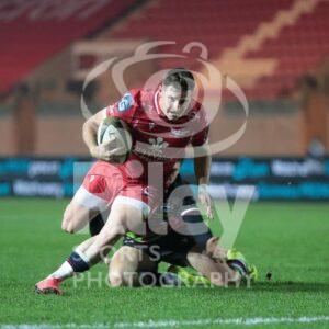 Guinness PRO14 2020-21
08.11.20 Scarlets v Zebre