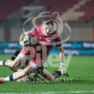 Guinness PRO14 2020-21
08.11.20 Scarlets v Zebre