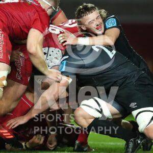 Development Friendly 
19.11.21 Scarlets Development v Ospreys A