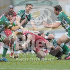 Guinness PRO14 2020-21
20.02.21 Scarlets v Benetton