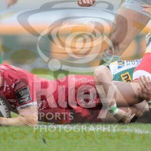 Guinness PRO14 2020-21
20.02.21 Scarlets v Benetton