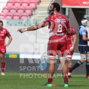 Photography #333 from Scarlets v Blues 22 August 2020
