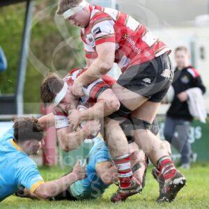 2021-22 WRU Indigo Premiership29.01.22 Llandovery v Newport