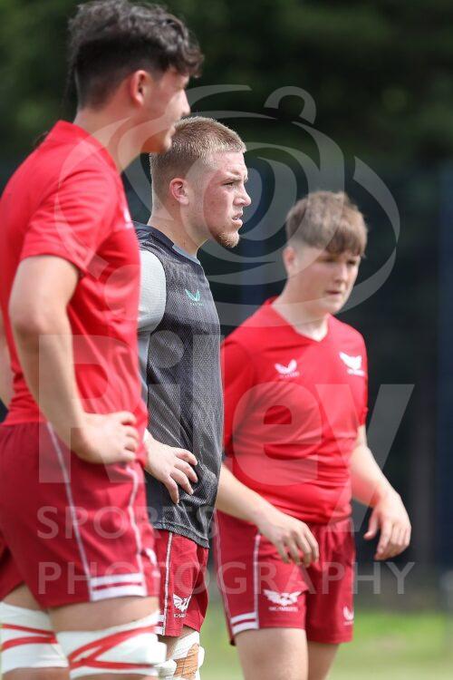 2024/25 Season : Friendly 
30.07.24 Scarlets v Leinster U18