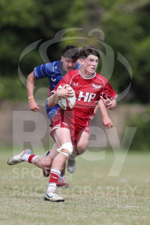 2024/25 Season : Friendly 
30.07.24 Scarlets v Leinster U18
