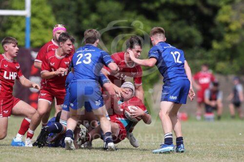2024/25 Season : Friendly 
30.07.24 Scarlets v Leinster U18