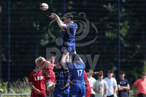 2024/25 Season : Friendly 
30.07.24 Scarlets v Leinster U18