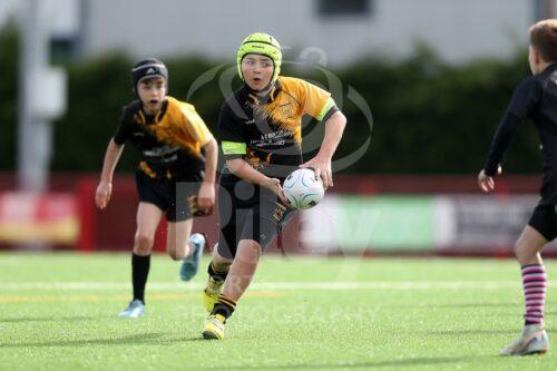 13.04.25 Arwel AdClad Junior Drovers Festival at Llandovery RFC