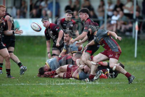 WRU Championship - West :  2024-25

30.04.25 Ystalyfera v Llanelli Wanderers