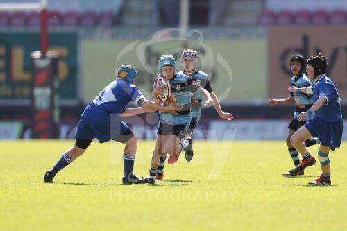 Scarlets Finals Weekend 2025

18.05.25 Ammanford v Haverfordwest_U12