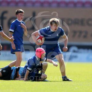 Scarlets Finals Weekend 2025

18.05.25 Ammanford v Haverfordwest_U12