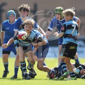 Scarlets Finals Weekend 2025

18.05.25 Ammanford v Haverfordwest_U12
